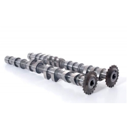 AAC Schrick asymétriques 252 °/ 260 ° Vag 1.8T 20V